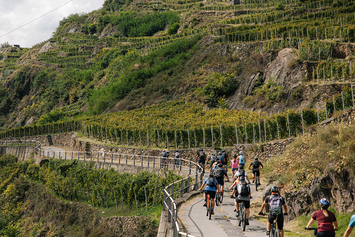 Fotografia di un Gruppo di Ciclisti in e-Bike su una strada del Tour del Gravellina