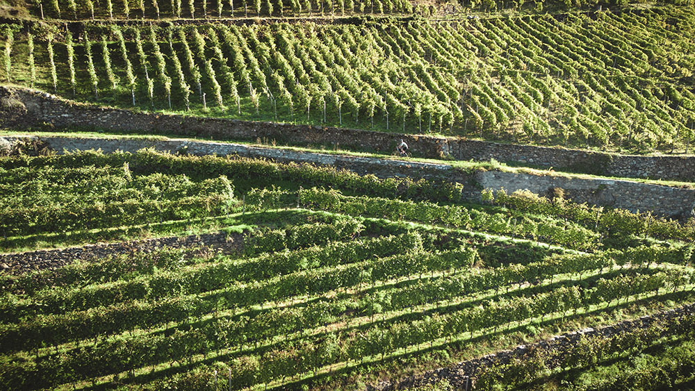 ininterotta bellezza valtellina Gravellina
